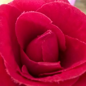 Meet your Posher, Krystal